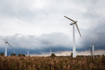 modern windmills in the field