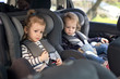 © ondrooo - cute small twins in car seats in the car