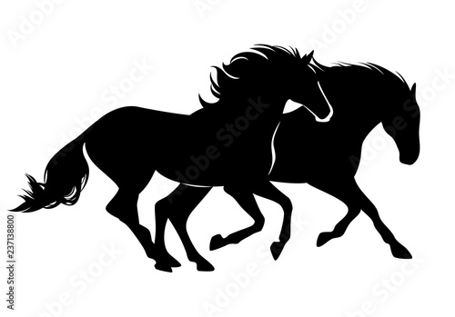 Fotomural pair of wild mustang horses running free - black vector silhouette design