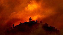 Hill With Trees About To Burn In Red, Orange Wildfire