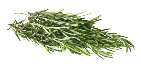 Poster - rosemary isolated on white background