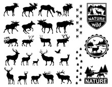 Set Of Horned Animals Silhouette Collection Deer Stag Moose Cervidae Elk