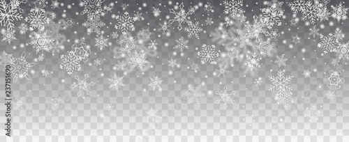 Fotografía Vector snowfall, snowflakes of various shapes