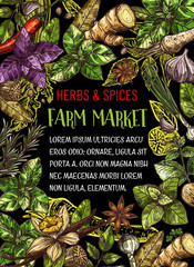 Wall Mural - Farm market with herbs and spices sketch poster