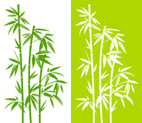 Fototapeta Sypialnia - Bamboo Duo Green