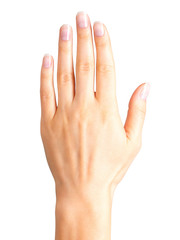 Wall Mural - Female hand showing five fingers and palm