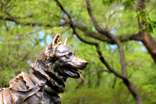 Dog Sculpture In Central Park, New York