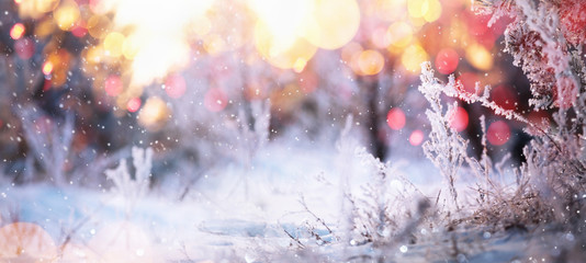 Winter Sunny Background with Snowy Branches and Bokeh Effects.