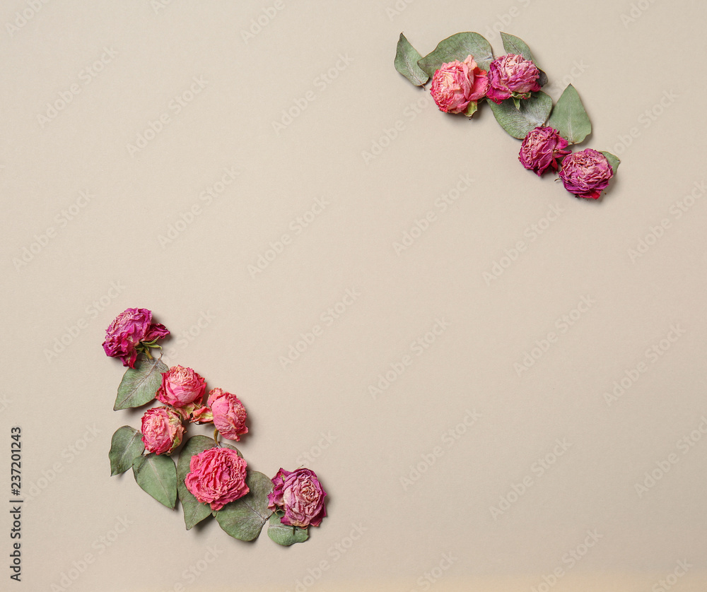 Beautiful dry roses on light background