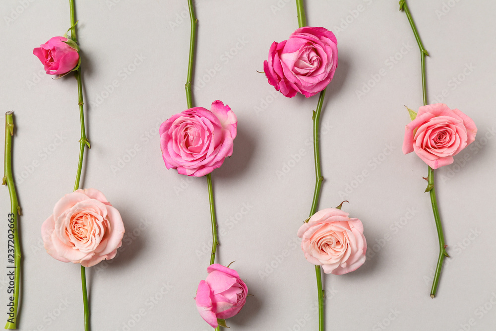 Composition with beautiful pink roses on grey background