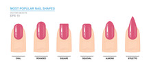 Most Popular Nail Shapes. Different Kinds Of Nail Shapes. Manicure Guide. Vector Illustration