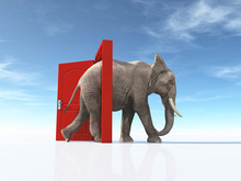 The Big Elephant Enters Opened Door