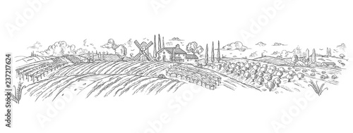 Fotomural rural landscape Hand drawn with plant. Vector illustration