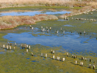 île de Ré