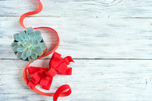 Christmas Composition, Mockup With Green Cactus Aloe Succulent Plant, Red Ribbon, Bow And Silver Christmas Ornament On White Background. Modern Xmas Background Mockup