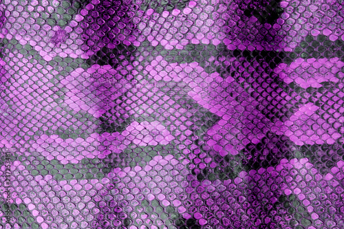 Dekoracja na wymiar  abstrakcyjna-kolorowa-prawdziwa-skora-weza-snakeskin-animal-print-background