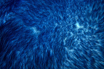 Wall Mural - Inverted image of natural fur of red polar fox closeup, may be used as background or texture