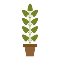 Poster - Plant pot isolated