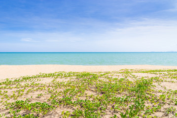 Wall Mural - Abstract beach background. Yellow sand, blue sky and calm tropical beach landscape.Exotic nature concept.Location Satheep Thailand