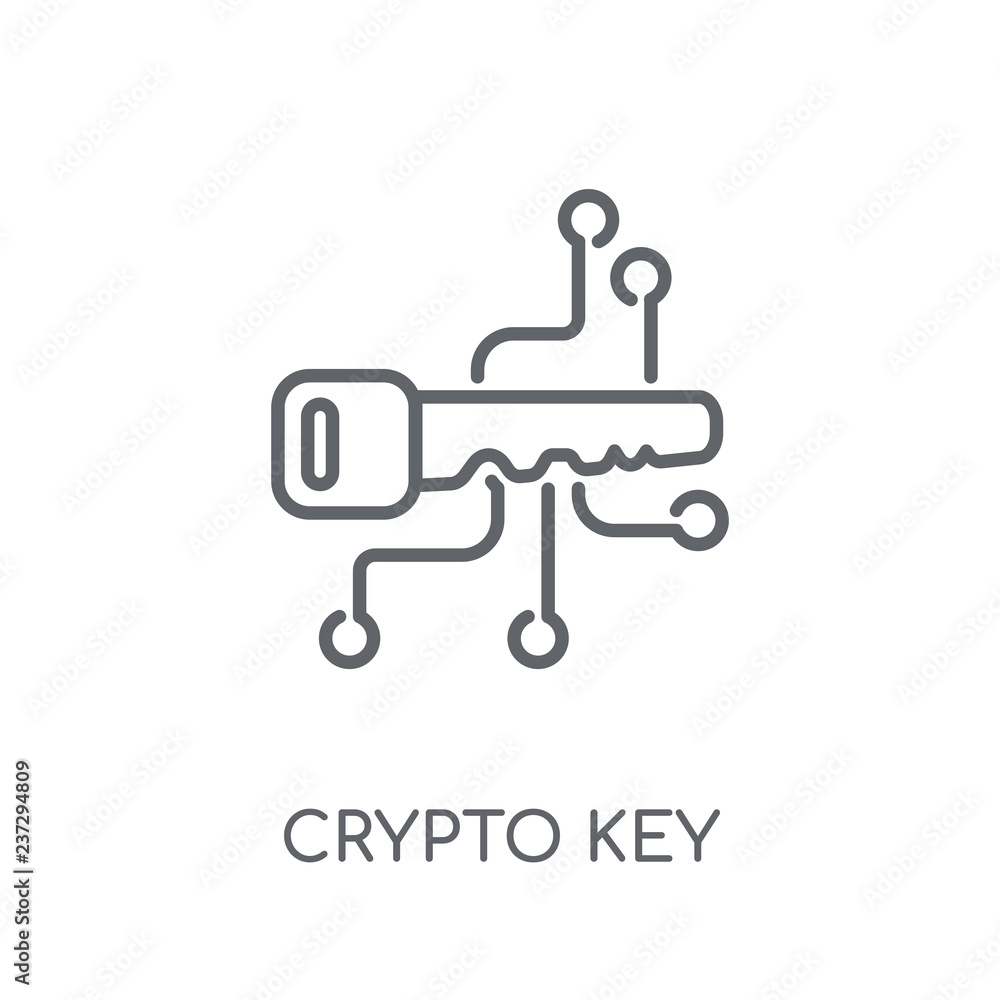 crypto key linear icon. Modern outline crypto key logo concept on white  background from Cryptocurrency economy and finance collection Stock Vector  | Adobe Stock
