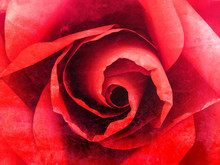 Red Rose Closed Up Grunge Abstract Background Texture