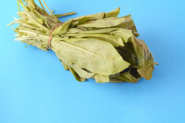 arugula leaves