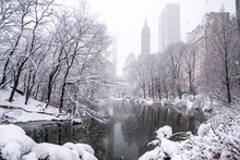 A Snowy Day In New York 