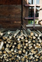 Stacks of wood in a shed