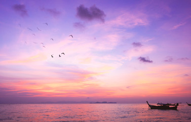 Wall Mural - world environment day concept: sky sunset background