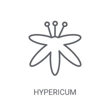 Hypericum Icon. Trendy Hypericum Logo Concept On White Background From Nature Collection