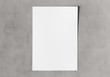 © sdecoret - A4 blank paper sheet mockup on concrete 3D rendering