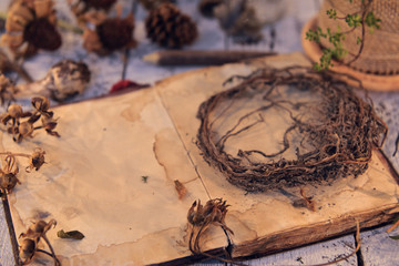 Old roots, antique diary book and seeds on planks. Magic gothic ritual. Wicca, esoteric and occult background