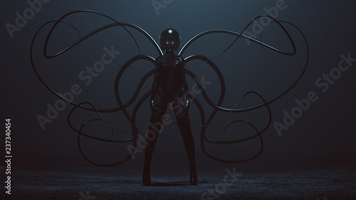 Cuadros en Lienzo Sexy Biker Demon Woman in a Bodice an Leather Boots and Crash Helmet With Tactil