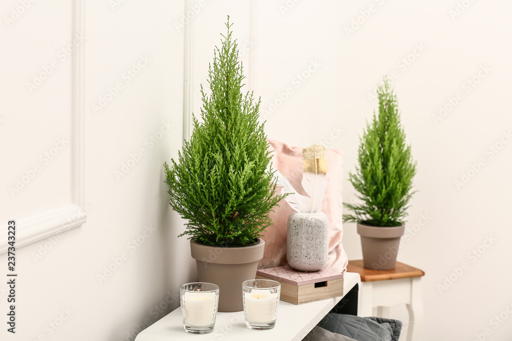 Pot with thuya tree and burning candles on white table