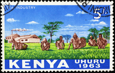 tea pickers on kenyan postage stamp