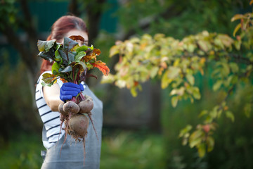 Photo of brunette woman with beetroot in garden