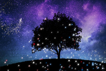 Wall Mural - a magic night lanscape with tree and starry sky
