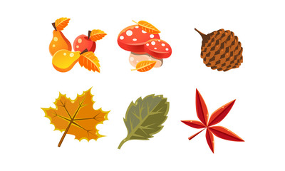 Sticker - Collection of bright colorful autumn leaves and plants, autumn nature design elements vector Illustration on a white background