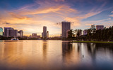 Fototapeta  - Downtown Orlando from Lake Eola Park at Sunset