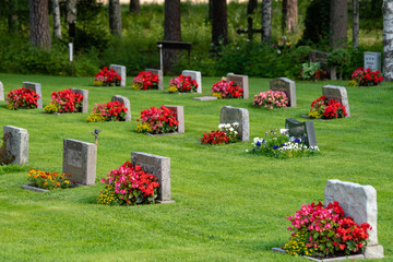 Rows of gravestones with red and pink flowers