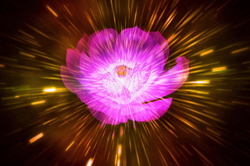 Canvas Print - abstract digital rose in a speeding beams of light background