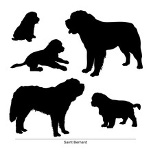 Saint Bernard Breed Dog. Vector Silhouette Of The Dog