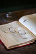 © Bidwell Studio - Old book with antique glassesl