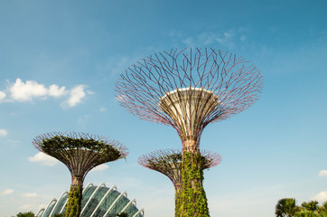 Fototapete - Gardens by the bay 