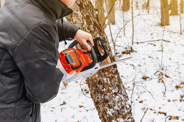 Wall Mural - Man hands holding an electric chainsaw, saws a tree in the forest. Deforestation. Modern technologies. Ecological problems. Earth Resources.