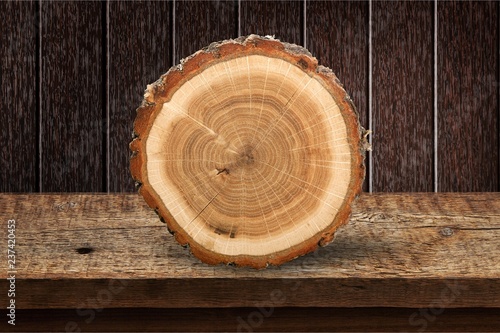 Wooden log isolated on white background Tableau sur Toile