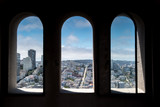 Fototapeta Kwiaty - A view of San Francisco from Coit Tower