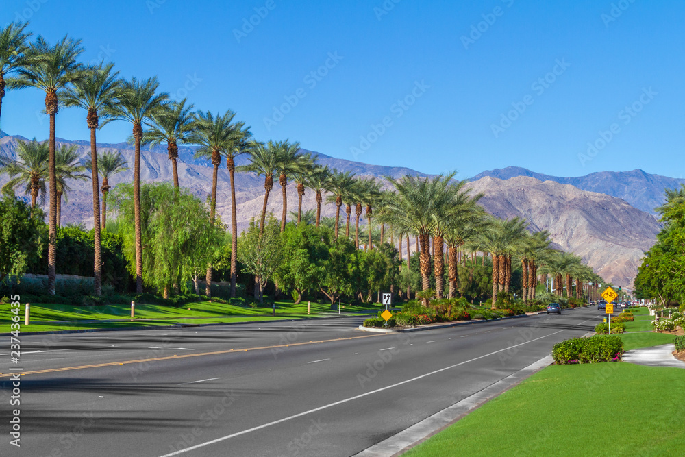 Palm trees line the landscape on California Highway 111 in the city of Indian Wells in the Coachella Valley - obrazy, fototapety, plakaty 
