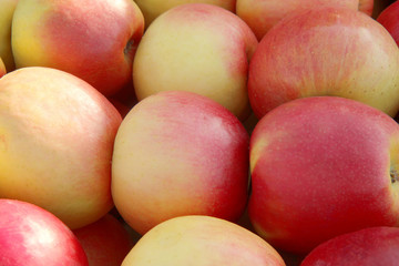 fresh red apples on the market