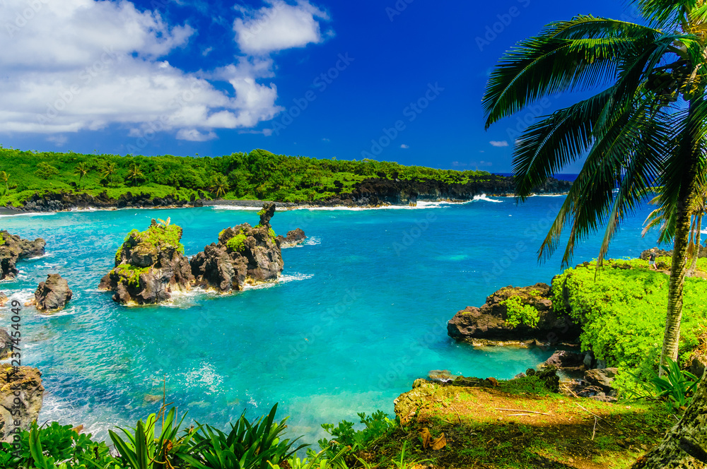 Spectacular ocean view on the Road to Hana, Maui, Hawaii, USA - obrazy, fototapety, plakaty 